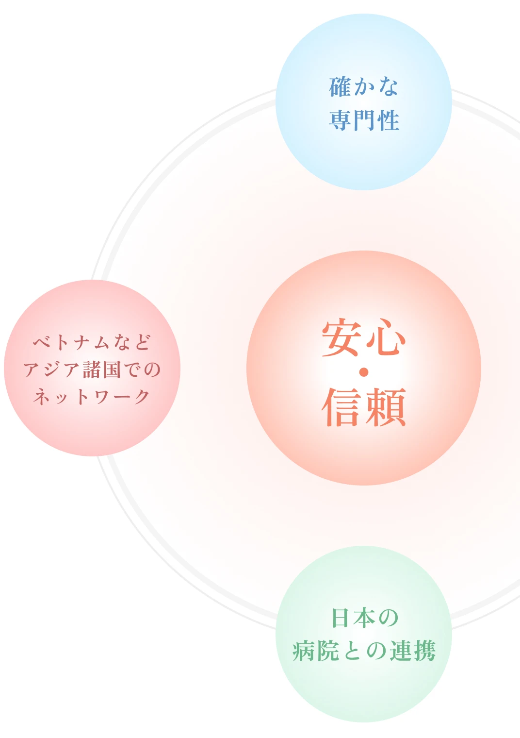 安心・信頼 確かな専門性 ベトナムなどアジア諸国でのネットワーク 日本の病院との連携